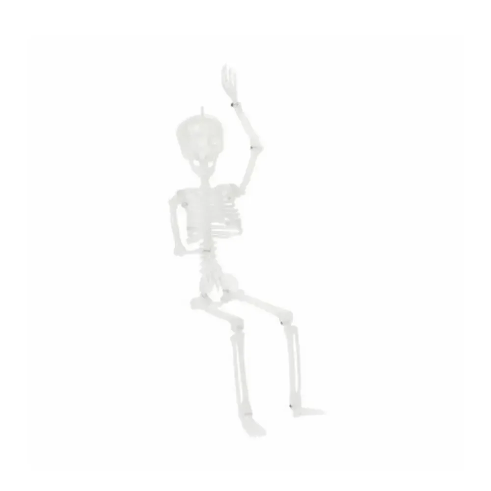 🔥Halloween Poseable Skeleton 1 Foot BNWT🔥